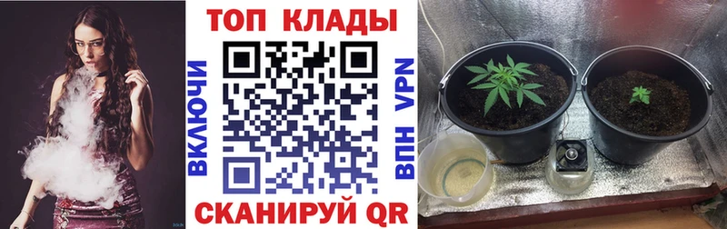 Цена Динская COCAIN  Alpha PVP  Героин  ГАШ  Конопля 