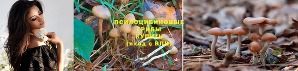 дурь Сатка