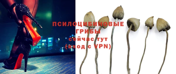 гидра Белокуриха