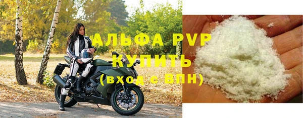 гидра Белокуриха