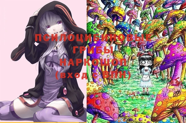 гидра Белокуриха