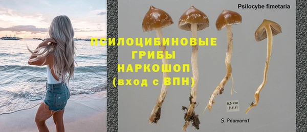 дурь Сатка