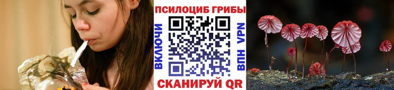 Псилоцибиновые грибы Psilocybe  что такое наркотик  Динская 